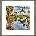 Reflections Of Palm Trees On Hunting Island South Carolina #1 Framed Print