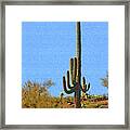 Saguaro And Blue Sky #1 Framed Print