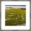Salt Marshes And Estuaries Are Found #1 Framed Print