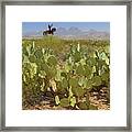 San Carlos Apache Reservation, Arizona #1 Framed Print