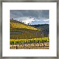 San Francisco Peaks #1 Framed Print