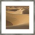 Sand Dunes #1 Framed Print