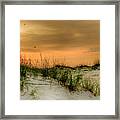 Seagulls At Sunrise #1 Framed Print