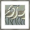 Shore Birds Ii #1 Framed Print