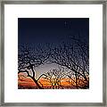 Silhouette Of Twisted Trees During #1 Framed Print