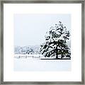 Snowy Sentinel #1 Framed Print