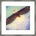 Soaring Eagle #1 Framed Print