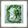 Spinach #1 Framed Print