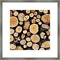 Stack Of Tree Logs #1 Framed Print