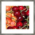 Still Life Of Fruit In Various Compositions, Cherry #1 Framed Print