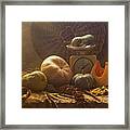Still Life With Pumpkins #1 Framed Print