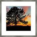 Sunset Silhouette #2 Framed Print