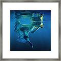 Symphony #1 Framed Print