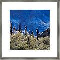 The Sonoran Sentinels  #1 Framed Print