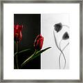 Tulip #1 Framed Print