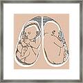 Unborn Baby #1 Framed Print