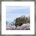 Washington Dc Cherry Blossoms And #1 Framed Print