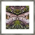 -  Watcher In The Wood #2 - Human Face And Eyes Hiding In Mirrored Tree Feature - Green Man Framed Print