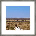 Way Out West #1 Framed Print