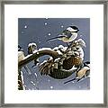 Winter Trio #1 Framed Print