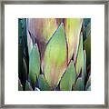 Baja California, Mexico #13 Framed Print