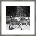 Christmas Tree At Rockefeller Center #15 Framed Print