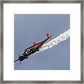 E.a.a. 2009 Airventure Fly-in #16 Framed Print