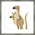 Kangaroo #18 Framed Print