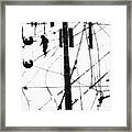 Untitled #18 Framed Print