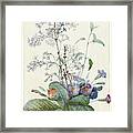 A Bouquet Of Flowers With Insects Framed Print