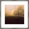 Autumn Is Coming... #2 Framed Print
