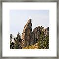 Custer State Park South Dakota  #2 Framed Print