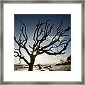 Driftwood Beach - Jekyll Island #2 Framed Print