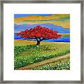 Flamboyant Near The Road #3 Framed Print