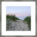 Grass On Beach At Dawn #2 Framed Print