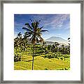 Indonesia, Bali, Rice Fields And Agung #2 Framed Print