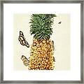 Insects Of Surinam #2 Framed Print