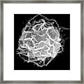 Mast Cell Sem #2 Framed Print