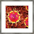 Mers Coronavirus #2 Framed Print