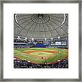 New York Yankees V Tampa Bay Rays Framed Print