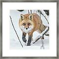 On The Move #2 Framed Print