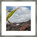 Road-building On Lava Flow From Kilauea Volcano Eruption #2 Framed Print