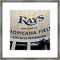 Seattle Mariners V Tampa Bay Rays Framed Print
