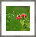 Thinking Of You #2 Framed Print