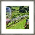 Wineglass In Vineyard Framed Print