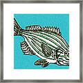 Fish #24 Framed Print