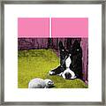 Boston Terrier #28 Framed Print