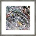 Aerial View Of A Winding Mountain Road #3 Framed Print