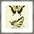 Butterflies #2 Framed Print