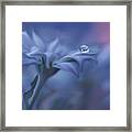 Metamorphosis... #3 Framed Print